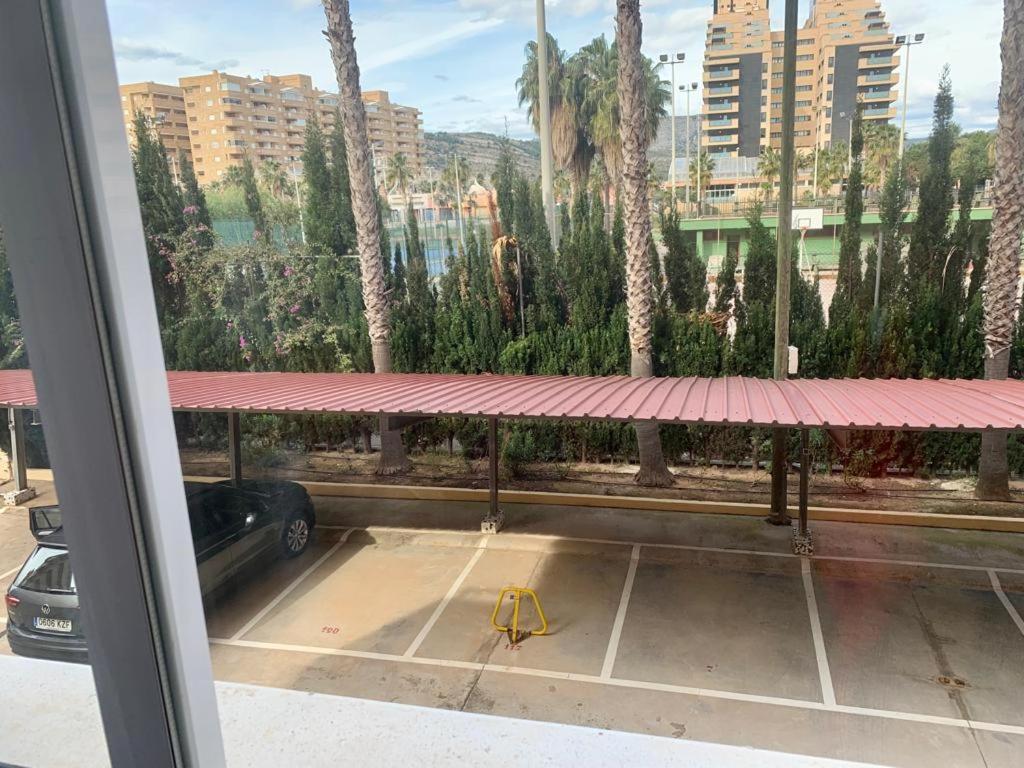1ra Linea Playa Magic World Luxury Pp3 Pet Apartment *